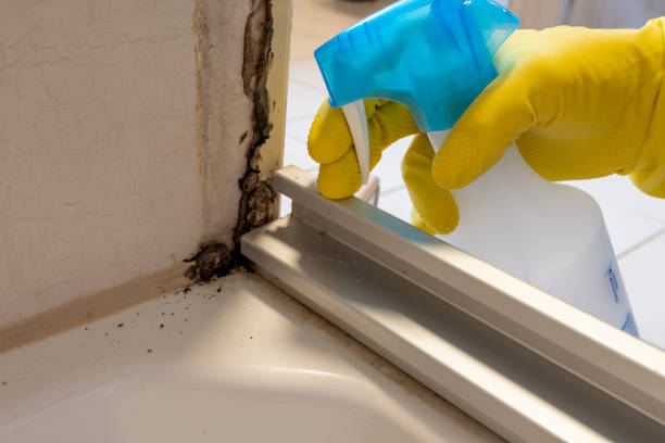 Best Mold Prevention Services  in Krebs, OK